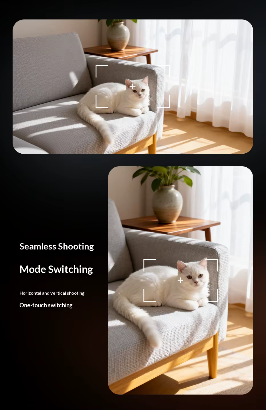 White cat lounging on a gray sofa with sunlight streaming through curtains, shown from two angles.showing features of VIZER VISION ELITE